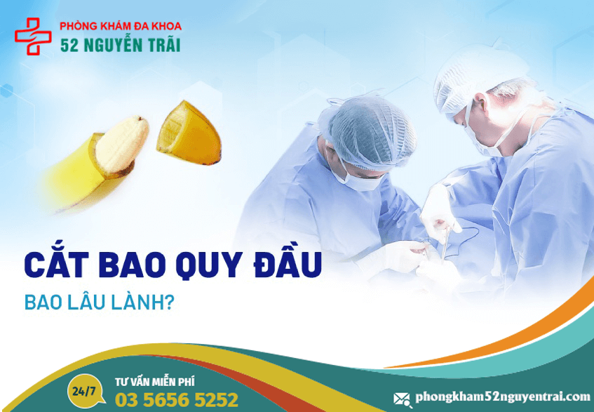 Cắt bao quy đầu bao lâu thì lành 