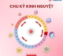 kinh-nguyet-co-tac-dung-gi