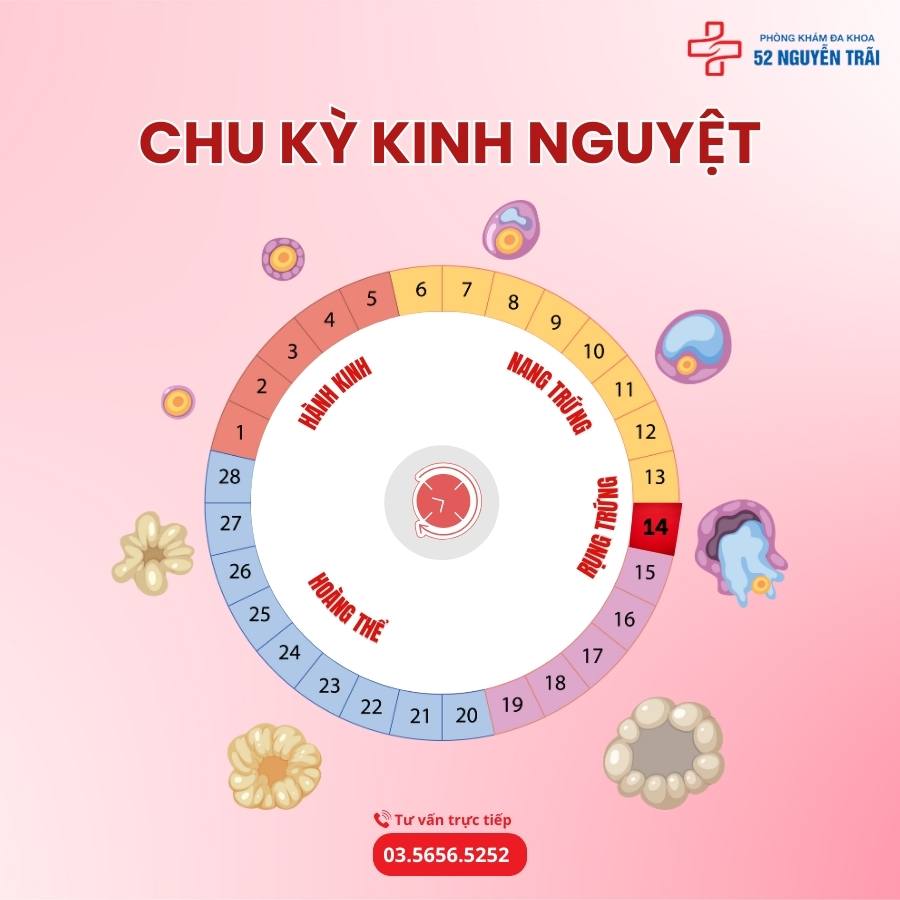 chu-ky-kinh-nguyet-o-phu-nu